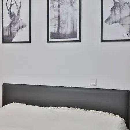 Modern Flat Direct To The Lake, Up To 8 Persons * Herrsching am Ammersee